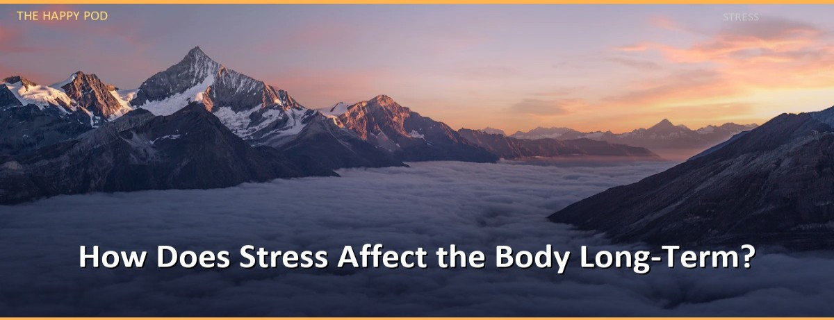 How Does Stress Affect the Body Long-Term? - Image 1