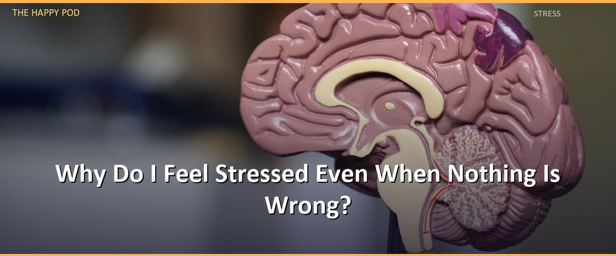 Why Do I Feel Stressed Even When Nothing Is Wrong?